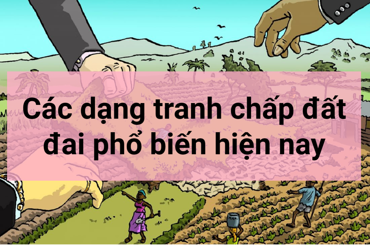 Các dạng loại tranh chấp đát đai